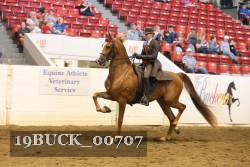 19BUCK_00707 proof
