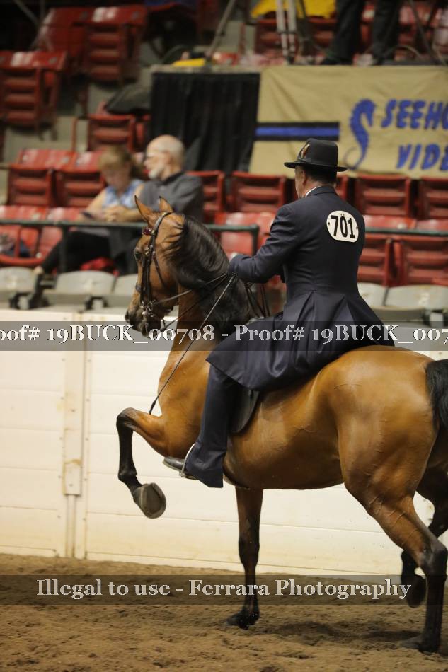 Proof 19BUCK_00708