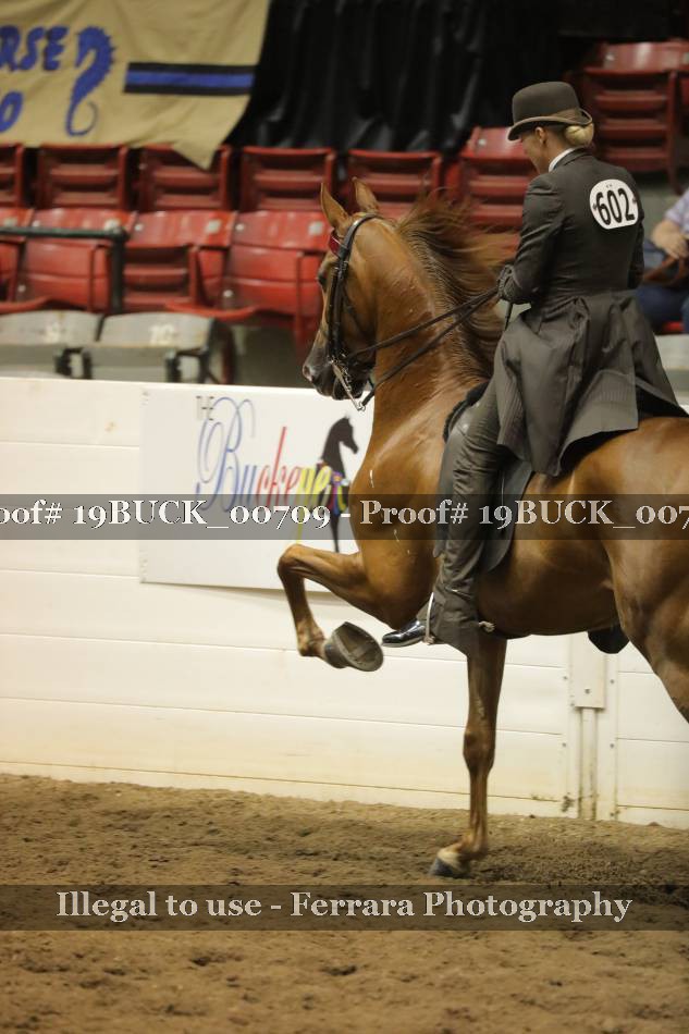 Proof 19BUCK_00709
