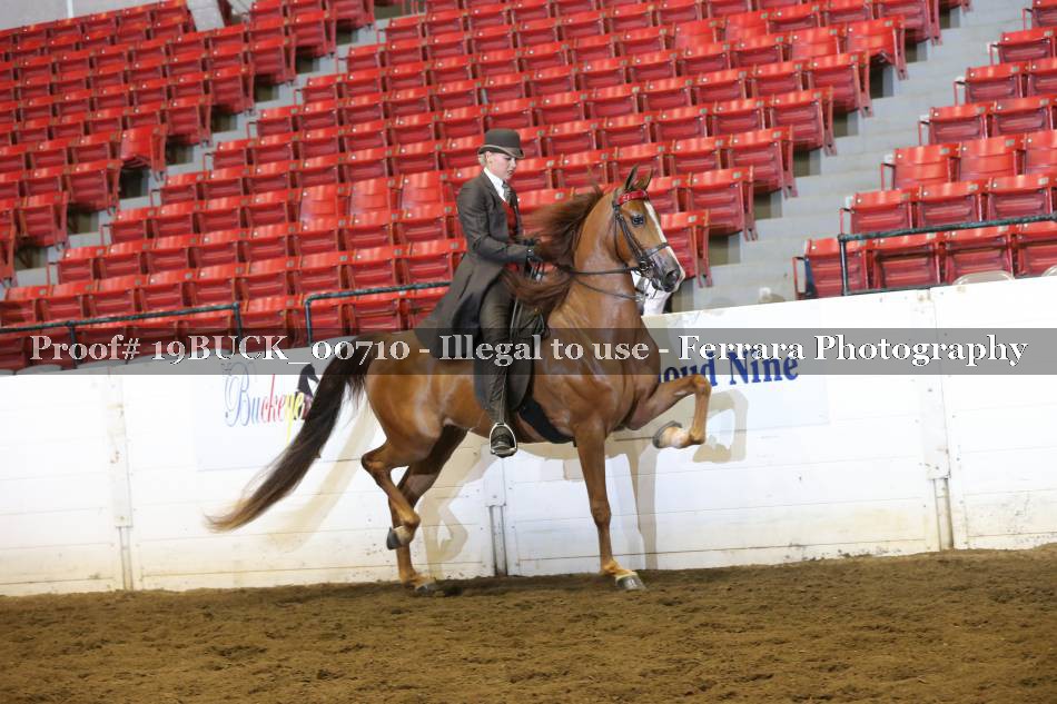 Proof 19BUCK_00710