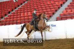 19BUCK_00710 proof