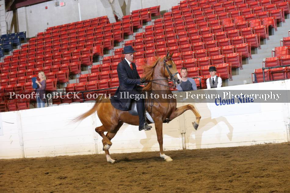 Proof 19BUCK_00711