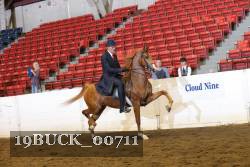 19BUCK_00711 proof