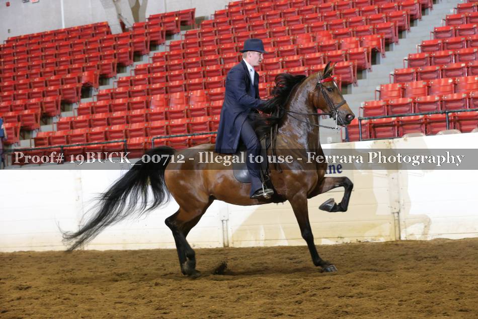 Proof 19BUCK_00712