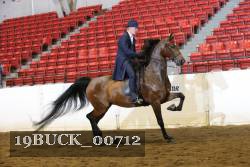 19BUCK_00712 proof