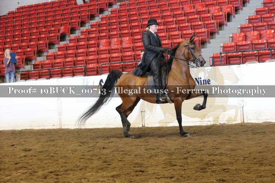 Proof 19BUCK_00713