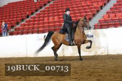 19BUCK_00713 proof