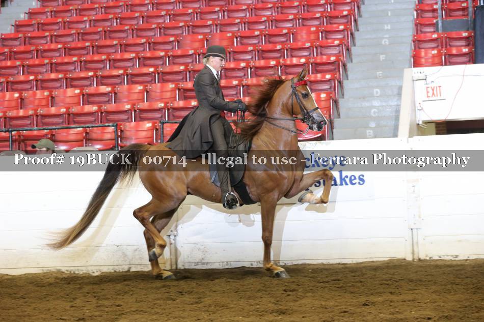 Proof 19BUCK_00714