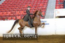 19BUCK_00714 proof