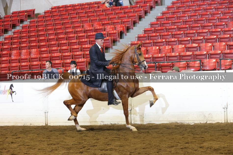 Proof 19BUCK_00715
