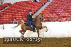 19BUCK_00715 proof