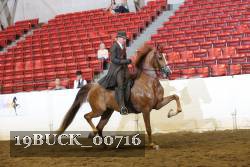 19BUCK_00716 proof