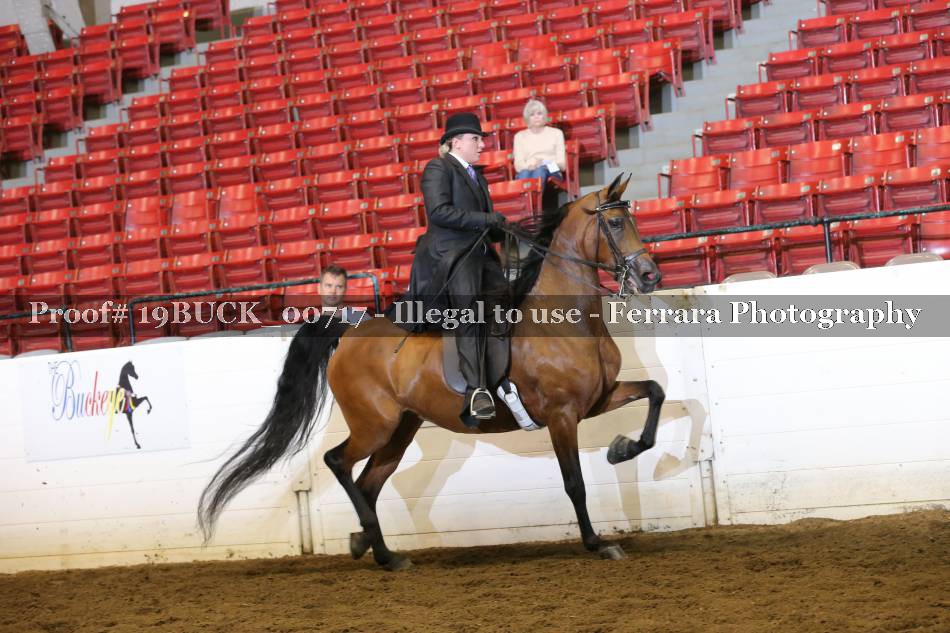 Proof 19BUCK_00717