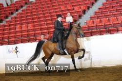 19BUCK_00717 proof