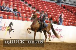 19BUCK_00718 proof