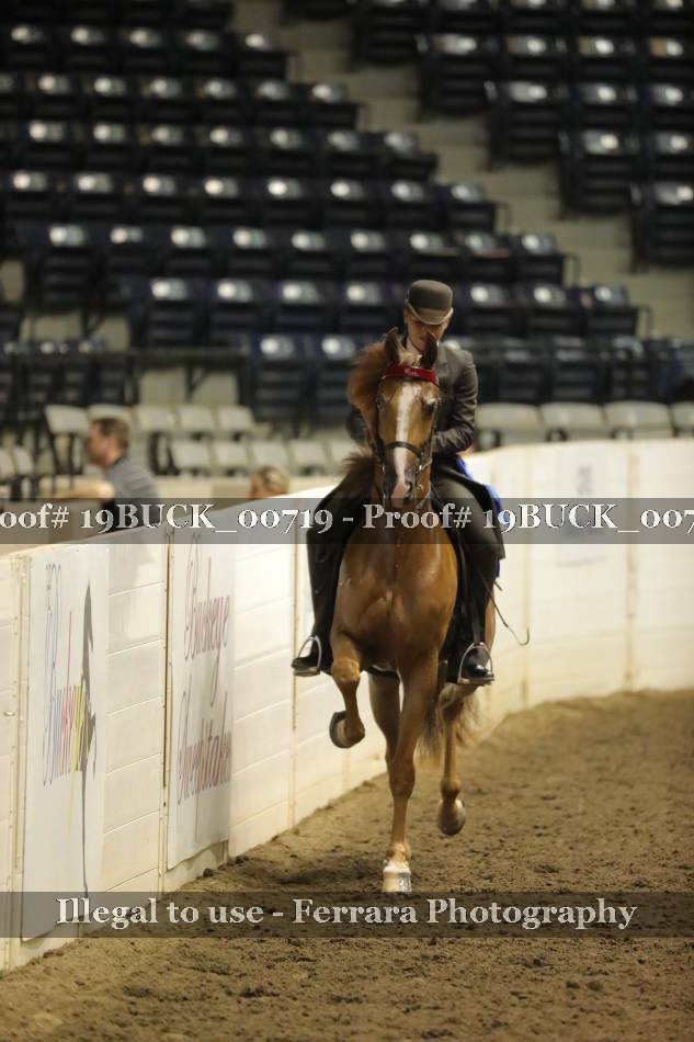 Proof 19BUCK_00719