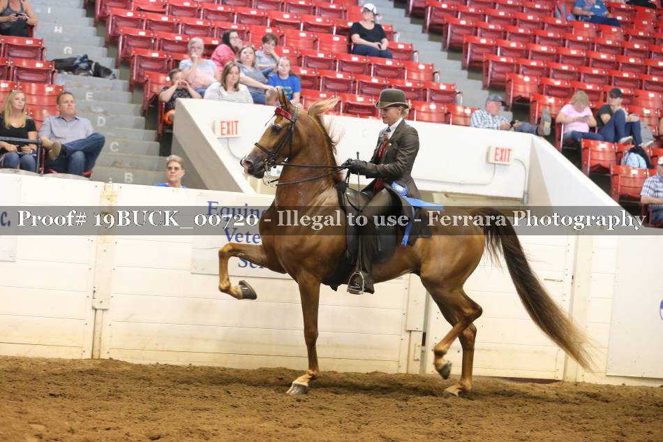 Proof 19BUCK_00720