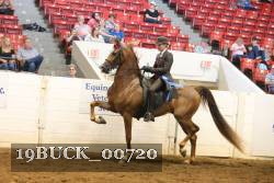 19BUCK_00720 proof