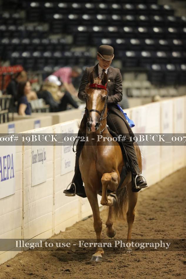 Proof 19BUCK_00721