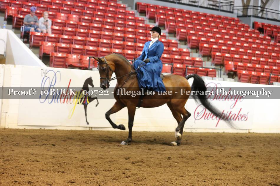 Proof 19BUCK_00722