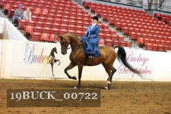 19BUCK_00722 proof