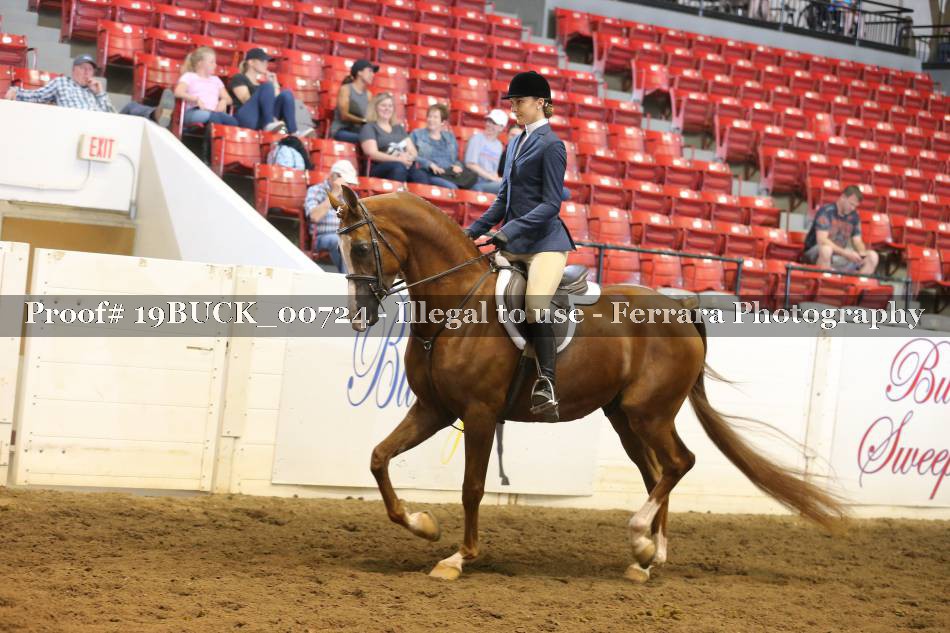 Proof 19BUCK_00724