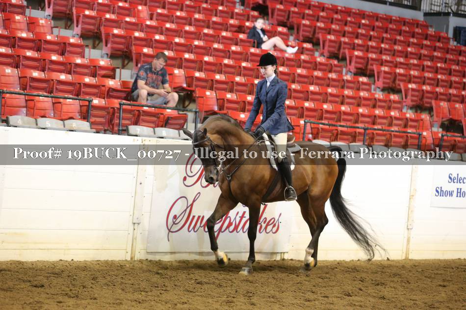 Proof 19BUCK_00727