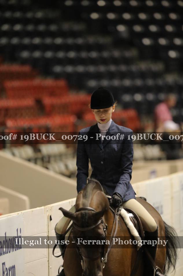 Proof 19BUCK_00729