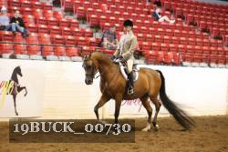 19BUCK_00730 proof