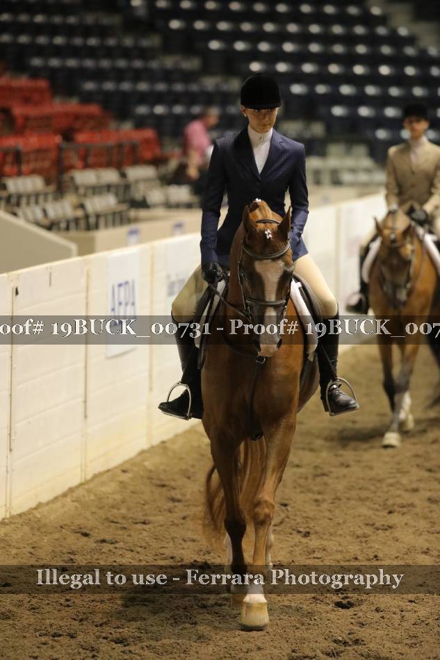Proof 19BUCK_00731