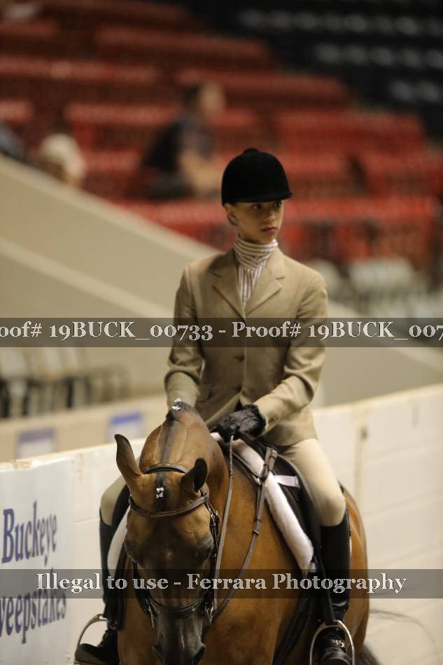 Proof 19BUCK_00733