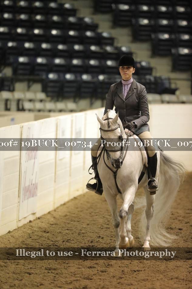 Proof 19BUCK_00734