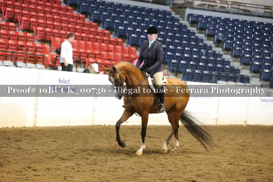 Proof 19BUCK_00736