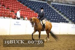 19BUCK_00736 proof