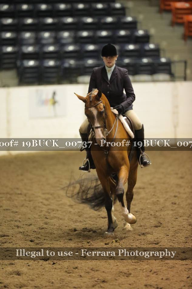Proof 19BUCK_00737