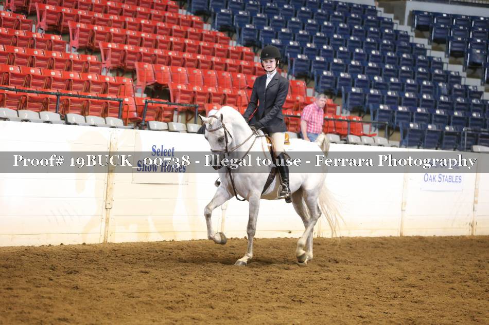 Proof 19BUCK_00738