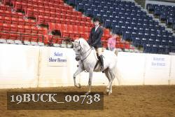 19BUCK_00738 proof
