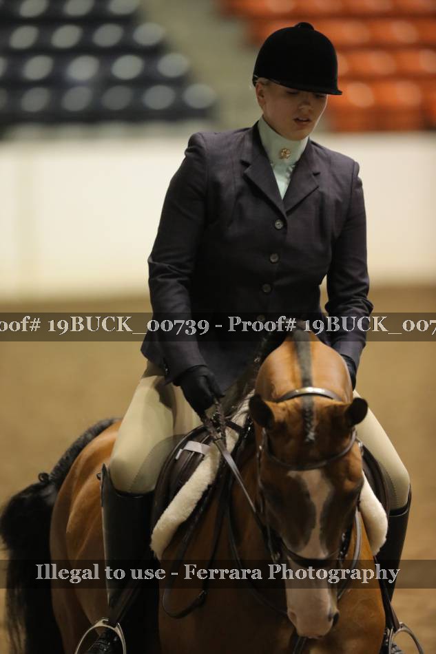 Proof 19BUCK_00739