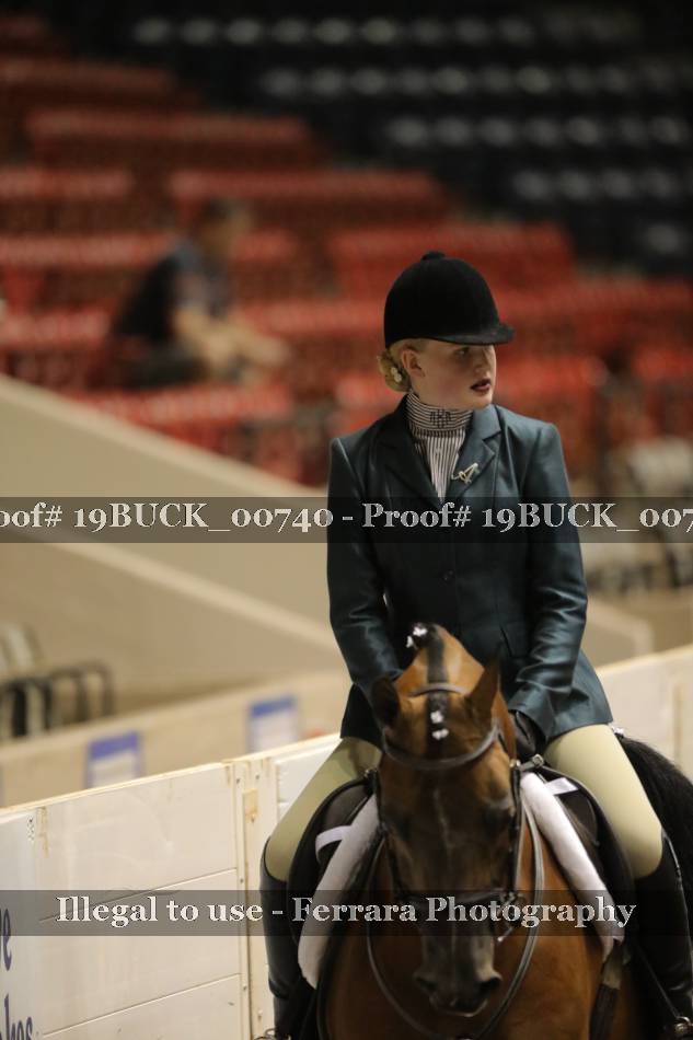 Proof 19BUCK_00740