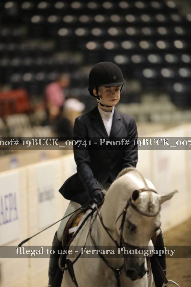 Proof 19BUCK_00741