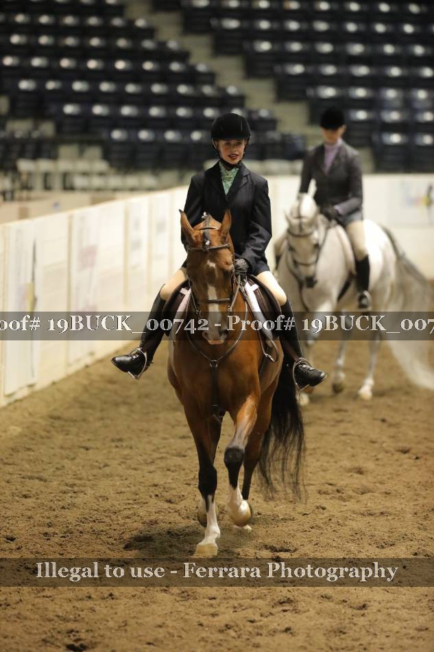 Proof 19BUCK_00742