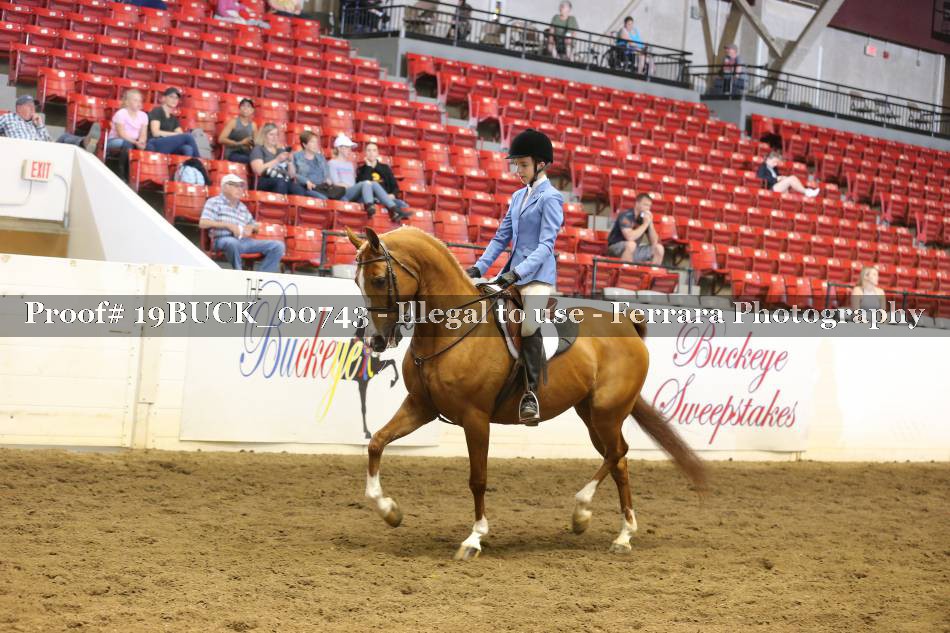 Proof 19BUCK_00743