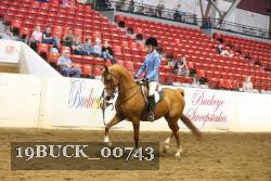 19BUCK_00743 proof