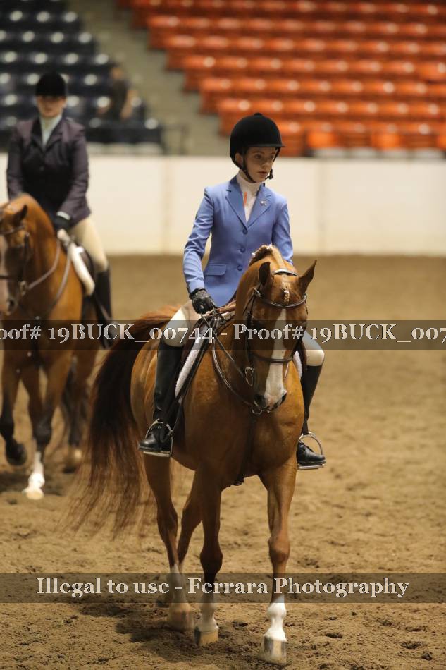 Proof 19BUCK_00744