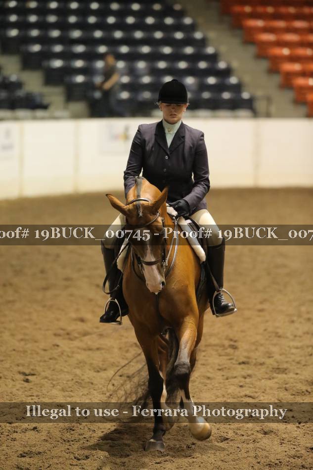 Proof 19BUCK_00745
