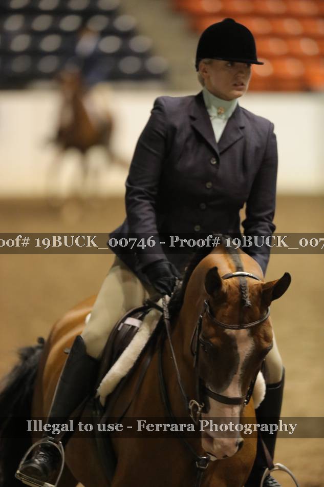 Proof 19BUCK_00746