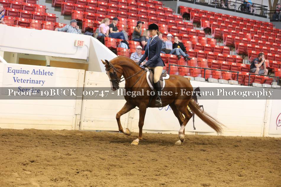 Proof 19BUCK_00747