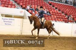 19BUCK_00747 proof