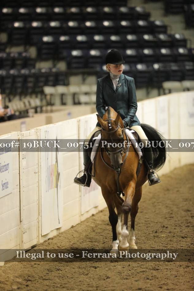 Proof 19BUCK_00751