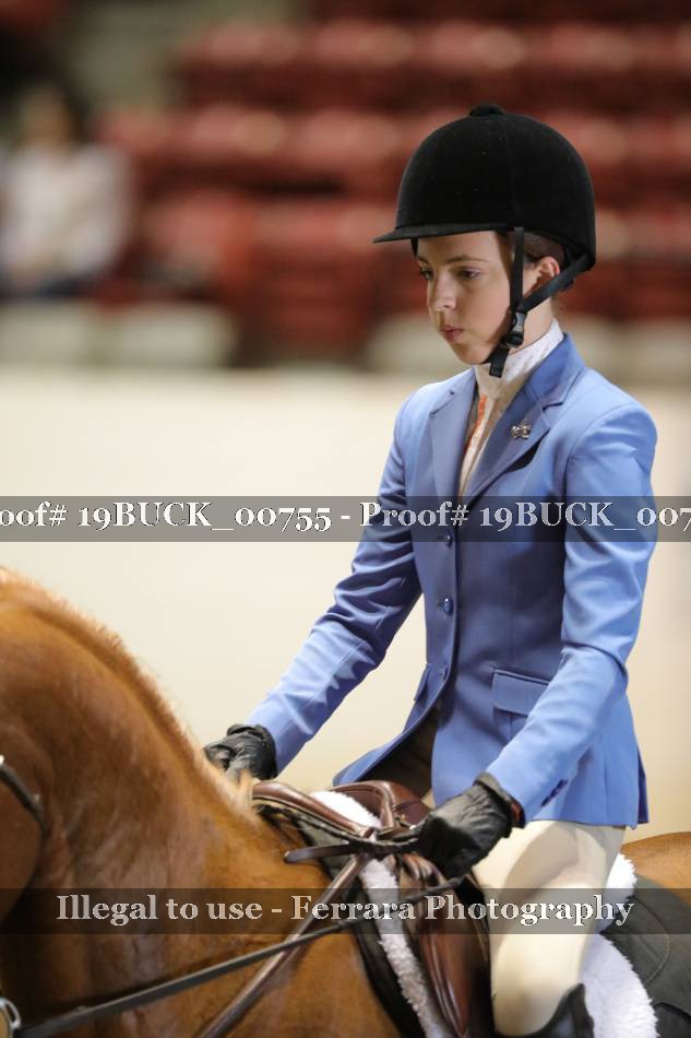 Proof 19BUCK_00755